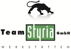 Team Styria Werkstätten GmbH